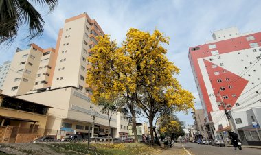 Confira como fica o tempo em Viçosa e região nesta quinta-feira (04)