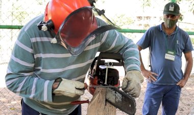 Curso gratuito de operação e manutenção de motosserra em Viçosa