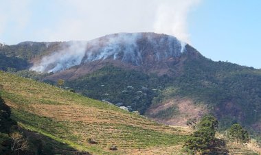 Combate a incêndio no Parque da Serra do Brigadeiro entra no terceiro dia