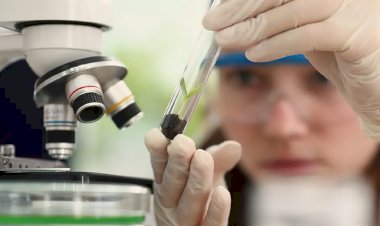 Prêmio de Ciência voltado para mulheres e meninas abre inscrições 