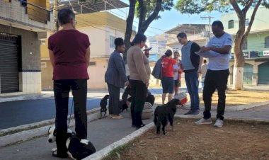 Vacinação antirrábica de reforço acontece em Viçosa neste sábado