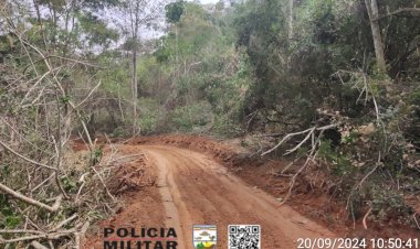 Dois homens são detidos por abertura irregular de estrada em área de mata em Coimbra