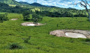 Governo de Minas orienta sobre técnicas para reduzir os efeitos da estiagem no campo