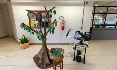 Arte no prédio das Licenciaturas da UFV