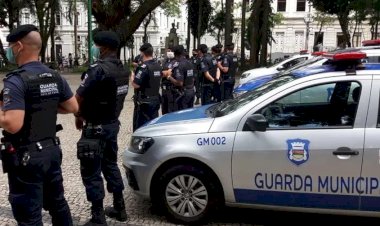 Diagnóstico nacional de guardas municipais é coordenado por professor da UFV