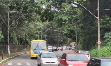 IPVA: escalas de pagamento iniciam nesta segunda-feira