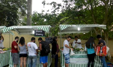 Feira Quintal Solidário promove edição especial de retorno às aulas