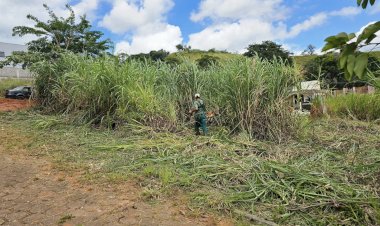 Viçosa tem 1.780 terrenos em estado de abandono