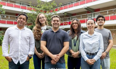 Pesquisa da UFV  identifica molécula capaz de conter replicação do vírus da Covid-19