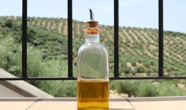 Anvisa proíbe venda de duas marcas de azeite