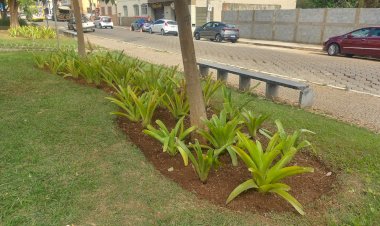 Avenida Santa Rita recebe revitalização dos jardins
