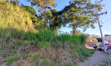 PMV notifica proprietários para limpeza de lotes abandonados