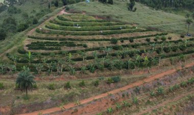 MCTI aprova criação de instituto nacional sobre agricultura e montanha na UFV
