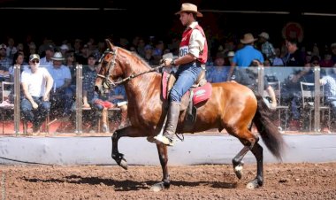 Concurso de Marcha é uma das atrações  da Festa do Cavalo em São Miguel do Anta