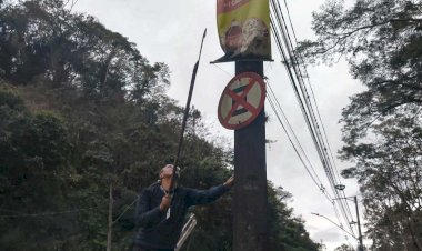 Prefeitura de Viçosa retira cartazes irregulares em postes