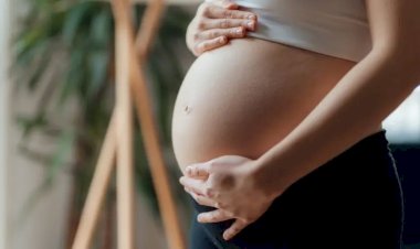 Complexo Hospitalar de Viçosa realiza encontro voltado às gestantes do município