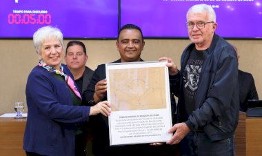 Filha de autor da bandeira de Viçosa discute valorização dos símbolos municipais na Câmara