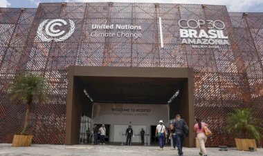 Viçosa é destaque em painel sobre inovação durante a COP 30