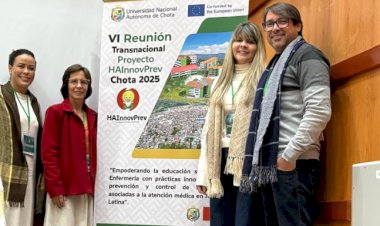 Professores da Enfermagem da UFV são homenageados por universidade peruana