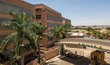 Anvisa determina recolhimento de lotes de Paracetamol + Codeína; saiba quais