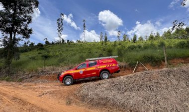 Idoso desaparecido em Coimbra é encontrado sem vida em área de mata