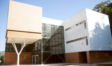 UFV abre inscrições para pós-graduação EAD em Nutrição Vegetariana e Plant Based