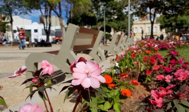 Câmara aprova transferência do Departamento de Parques e Jardins para a Semabio