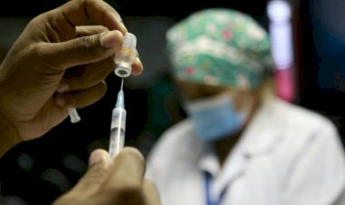 Porto Firme e Pedra do Anta iniciam vacinação contra a dengue nesta segunda