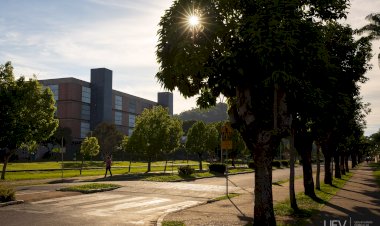 UFV promove trilha até o Recanto das Cigarras neste domingo, 22