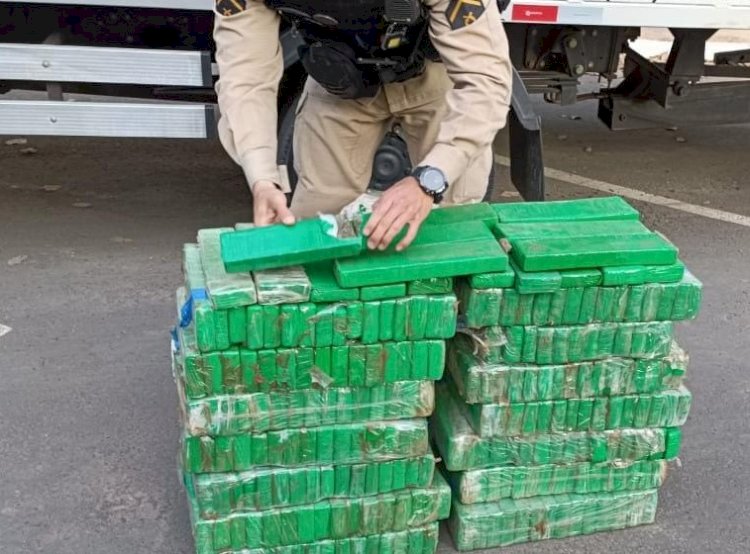 Polícia apreende mais de 230 barras de maconha em Ubá