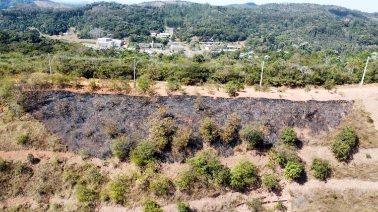 Incêndio atinge área de vegetação no Parque do Cristo em Viçosa