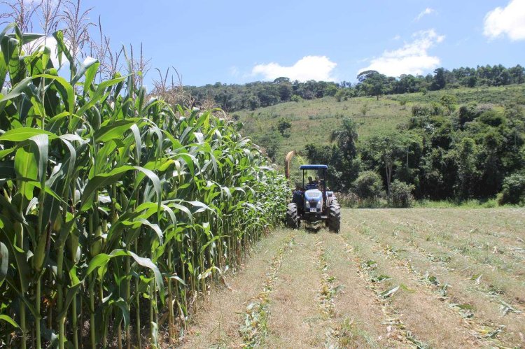 Prefeitura de Viçosa abre inscrições para Programa de Mecanização Agrícola 2024/2025