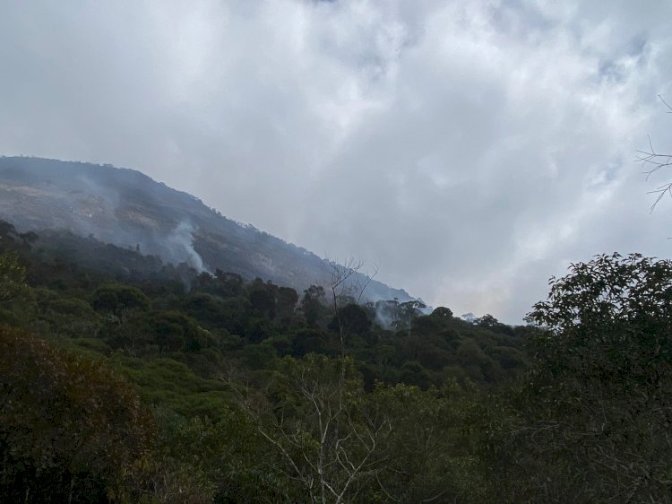 Bombeiros combatem novos focos de incêndio na Serra do Brigadeiro