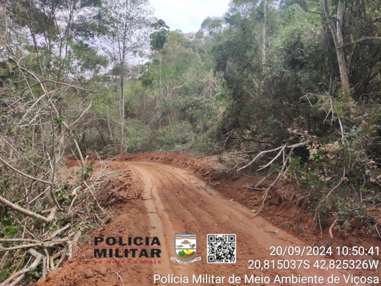 Dois homens são detidos por abertura irregular de estrada em área de mata em Coimbra