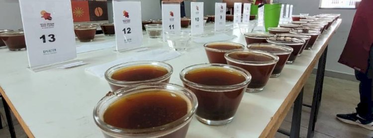 Produtores de Araponga se classificam para a 2ª etapa do Concurso de Qualidade dos Cafés de MG 