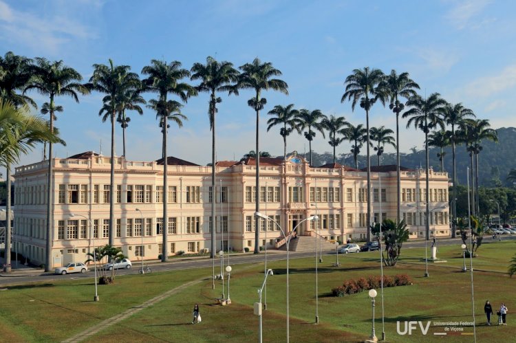 UFV conquista nota máxima pelo MEC em nove cursos de graduação