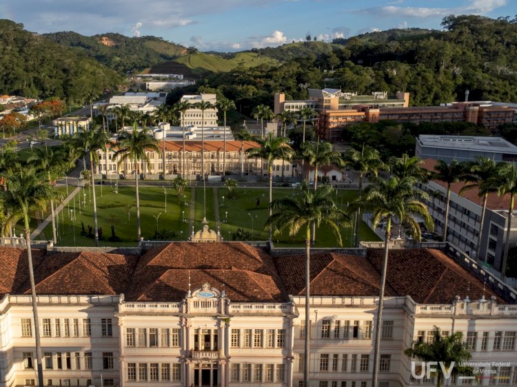 UFV oferecerá mais de três mil vagas em 67 cursos para 2025