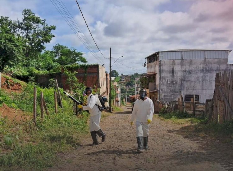 Prefeitura combate Aedes aegypti com aplicação de inseticida