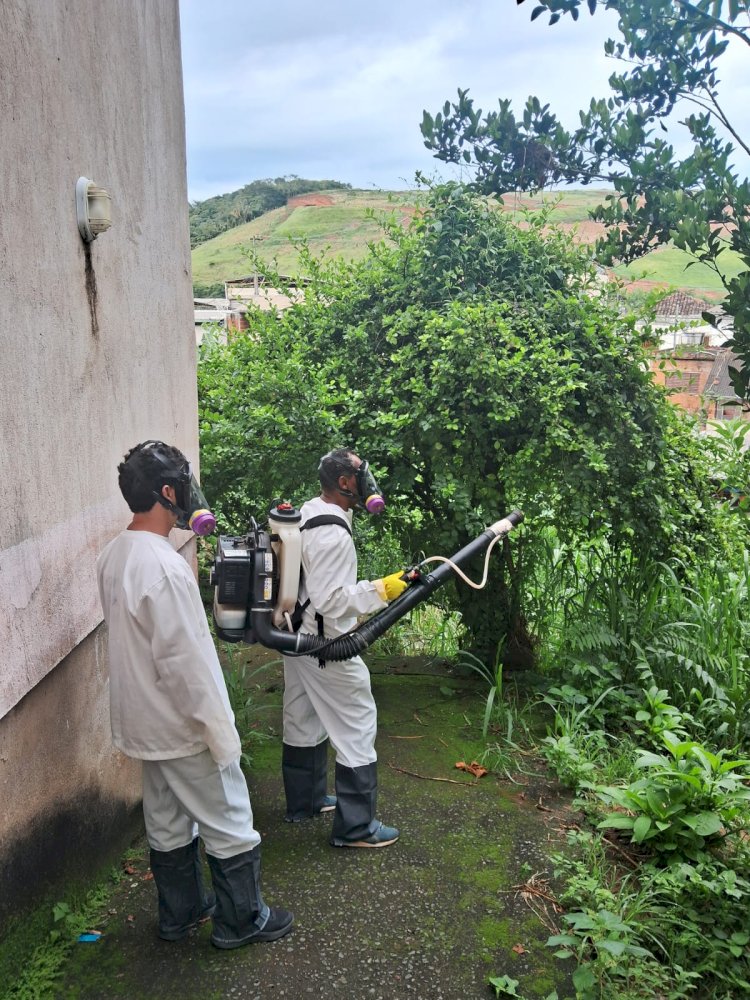 Viçosa registra seis novos casos de Dengue