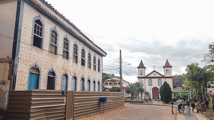 Projeto distribui 2 mil mudas para produtores de Pedra do Anta