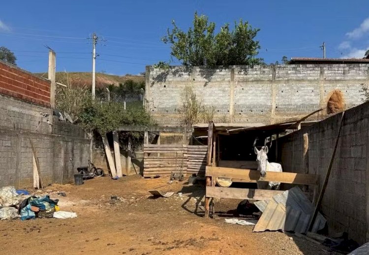 Homem é preso por maus-tratos a cavalos em Ubá