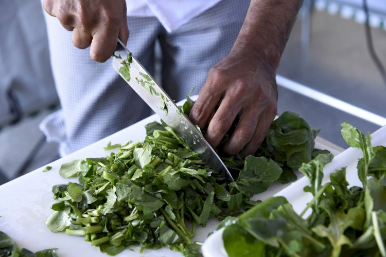 Inspeção de produtos de origem vegetal se torna obrigatória em MG