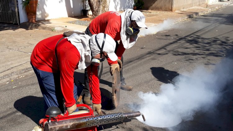 Prefeitura de Paula Cândido realiza dedetização em bueiros da cidade