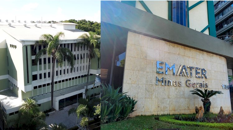 Governo de Minas autoriza concurso da Epamig  e Emater