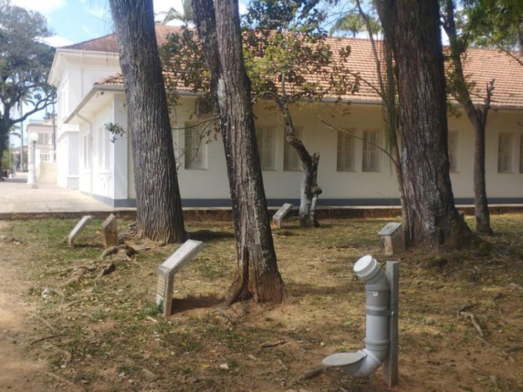 UFV instala comedouros para animais que vivem no campus