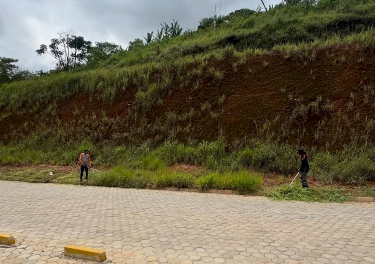 Prefeitura de Ervália realiza serviços de capina e limpeza em diferentes regiões do município