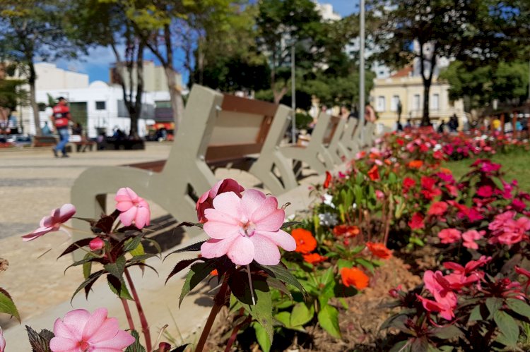 Câmara aprova transferência do Departamento de Parques e Jardins para a Semabio