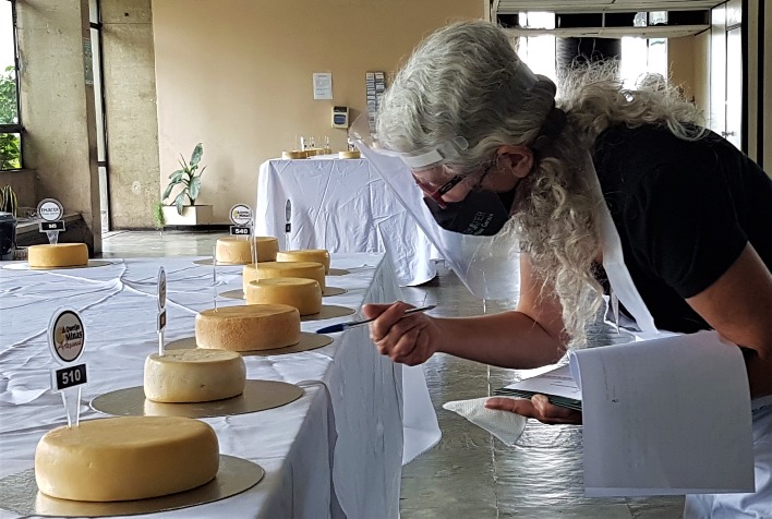 Especialistas escolhem os melhores do Concurso Estadual do Queijo Minas Artesanal