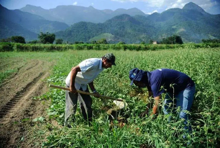 Mais de 70s propriedades rurais em Minas são da agricultura familiar