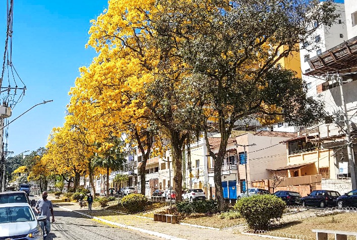 PMV vai revitalizar canteiros da Santa Rita